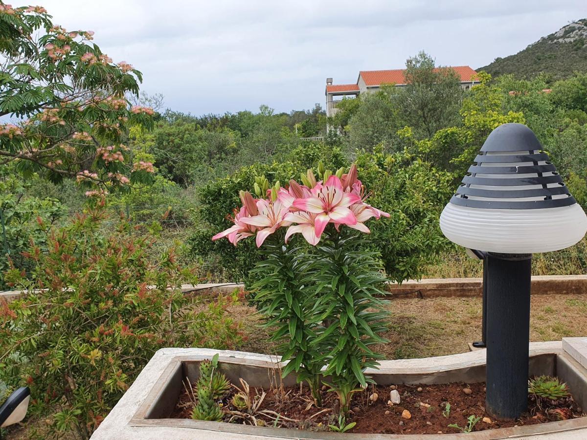 Holiday House "Lea" Lukoran Ngoại thất bức ảnh