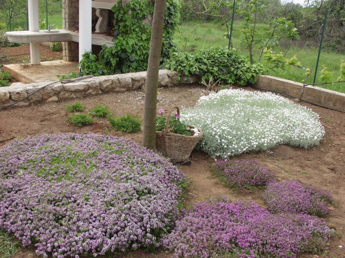 Holiday House "Lea" Lukoran Ngoại thất bức ảnh